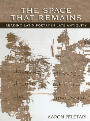 cover image of The Space That Remains